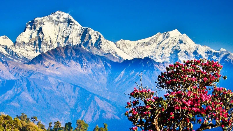 Viewpoints for Annapurna Region: Must-See 8 Spots