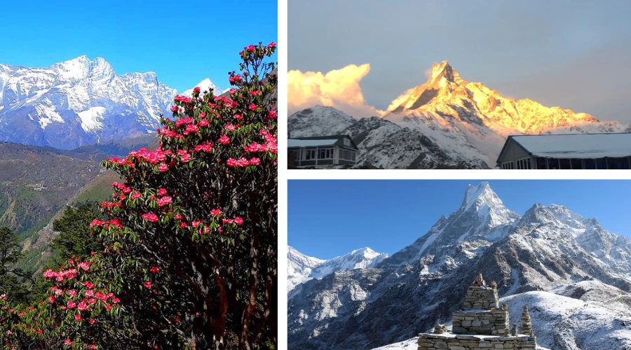 Mardi Himal Weather: When to Trek and What to Expect?