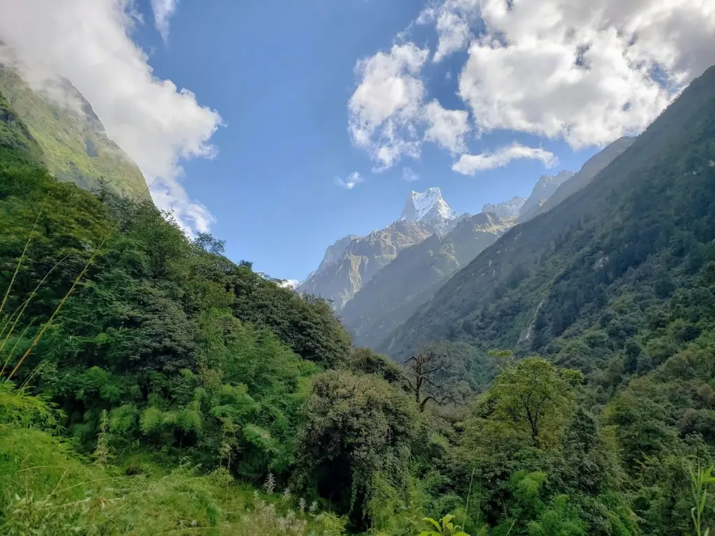 Beautiful greenery scene of annapurna circuit trails