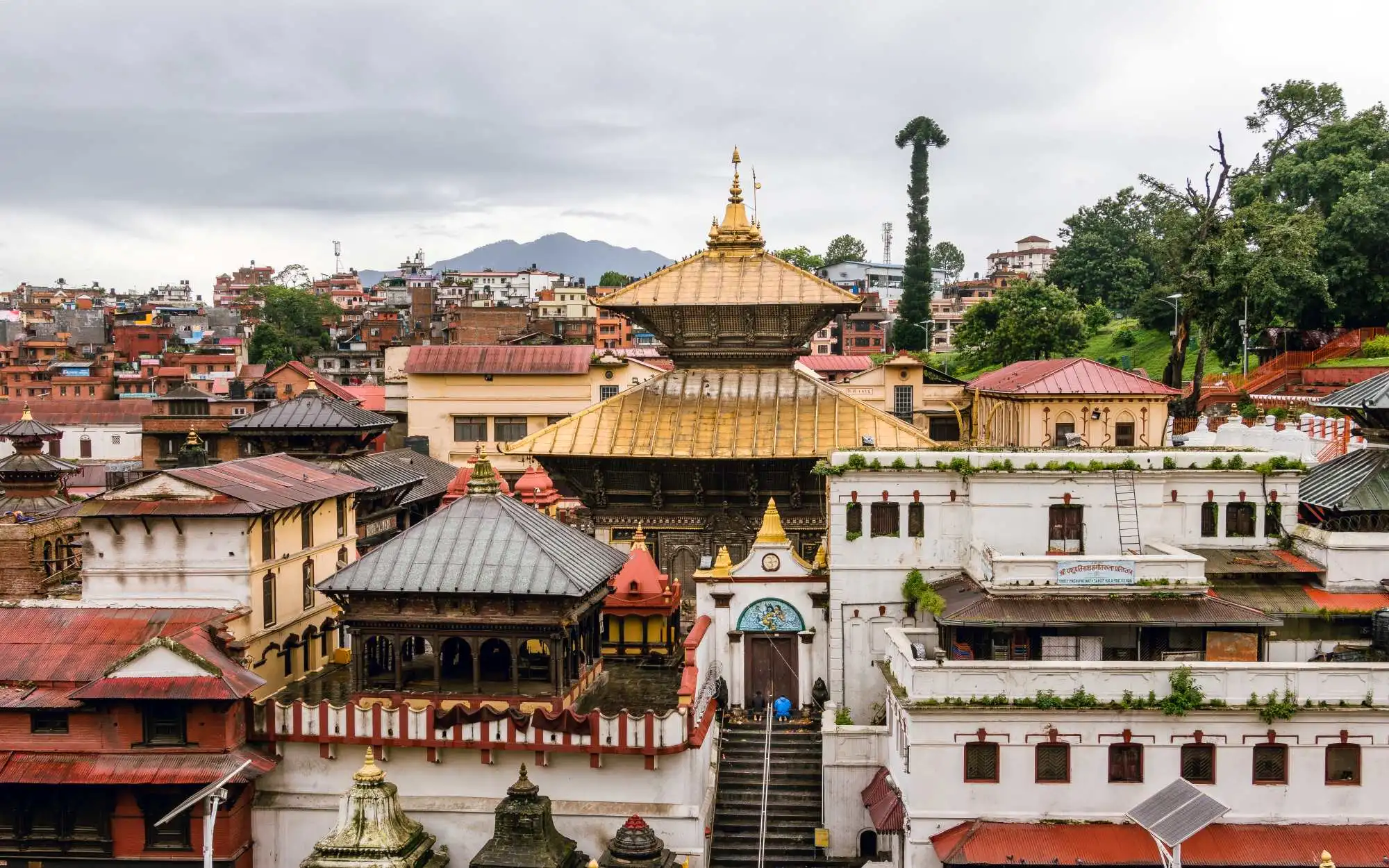 Pashupatinath Temple Guide 2026: What to See, When to Go & What to Expect
