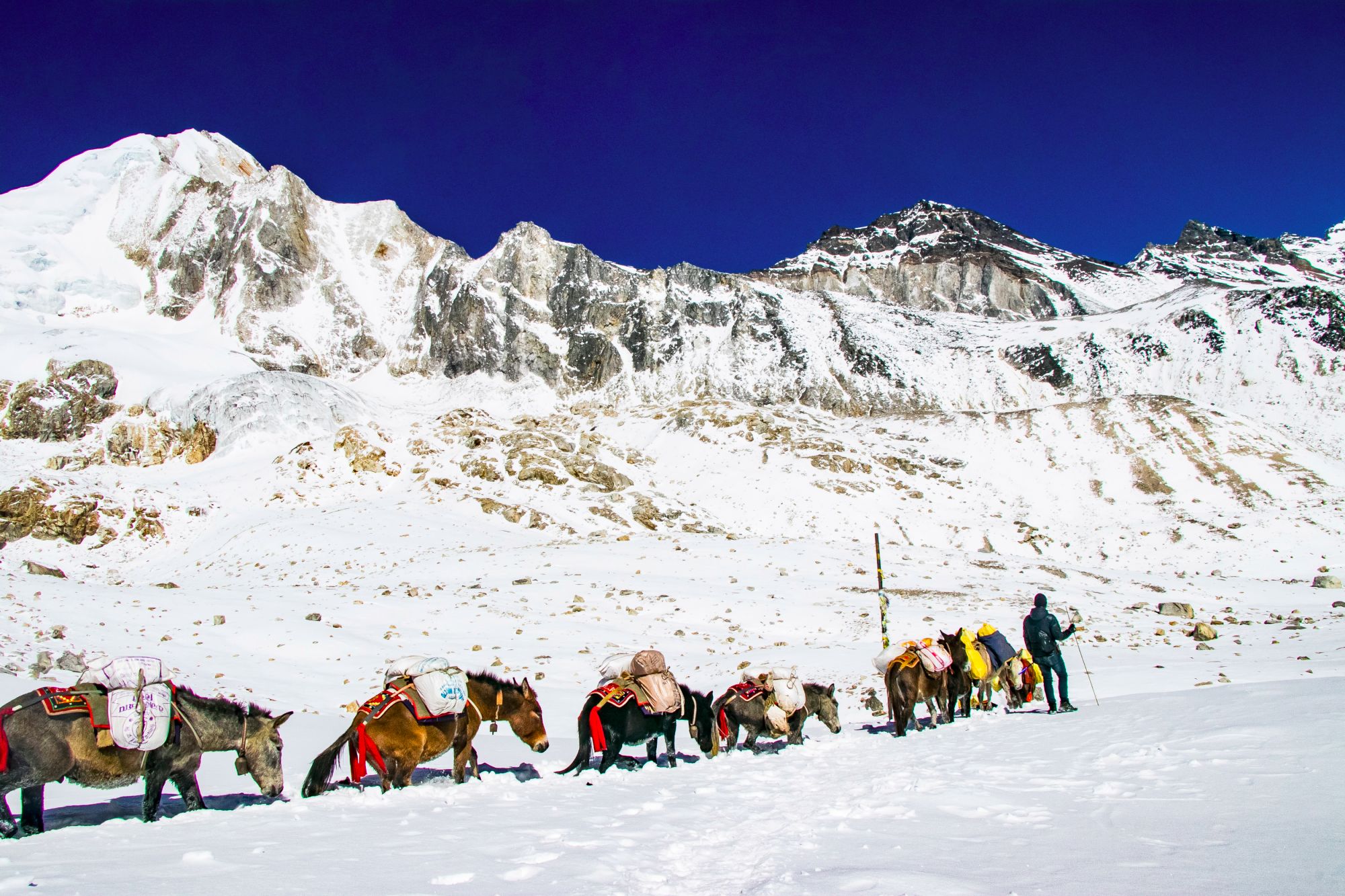 Manaslu Circuit Trek Difficulty: How Hard Is It Really?