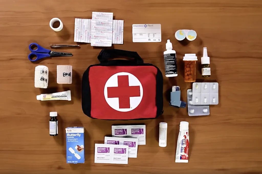 First Aid and Personal medicine kit bag